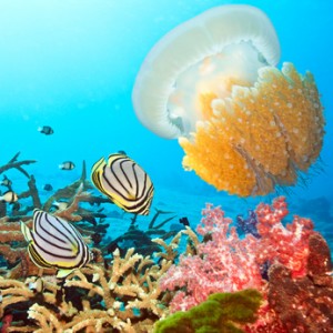 Louer une voiture pour visiter la Guadeloupe