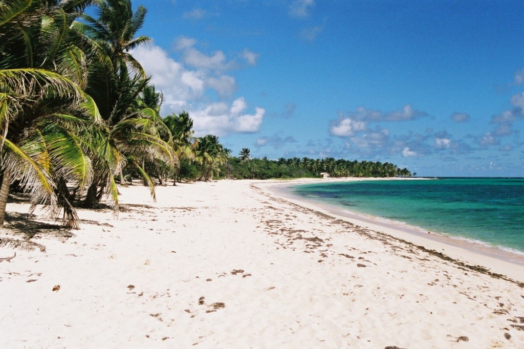 © Crédit photo :https://en.wikipedia.org/wiki/Guadeloupe
