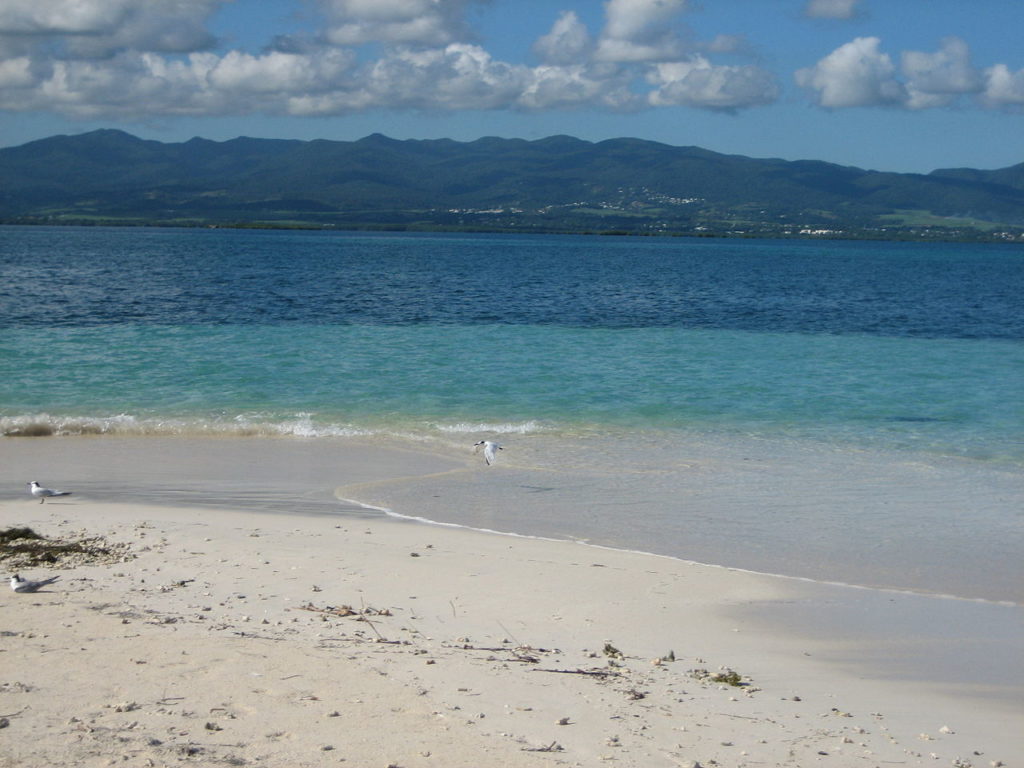 Destination de rêve découvrez SainteRose avec Jumbocar Guadeloupe